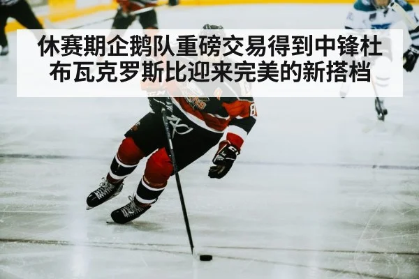 休赛期企鹅队重磅交易得到中锋杜布瓦克罗斯比迎来完美的新搭档