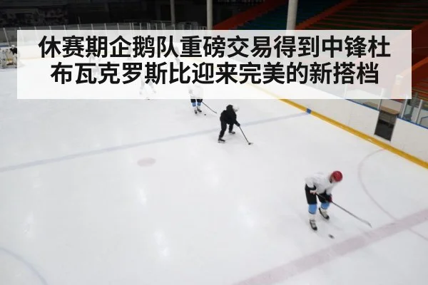 ice hockey rink